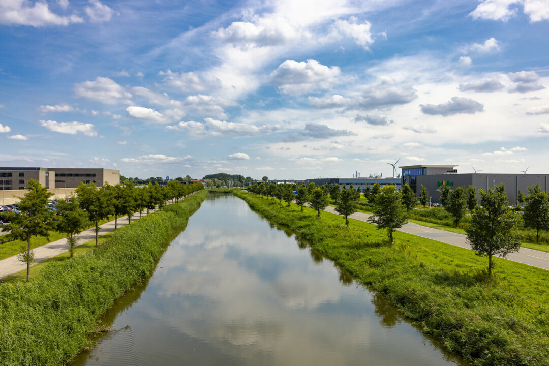 Hoogtij in Zaandam met groen en water