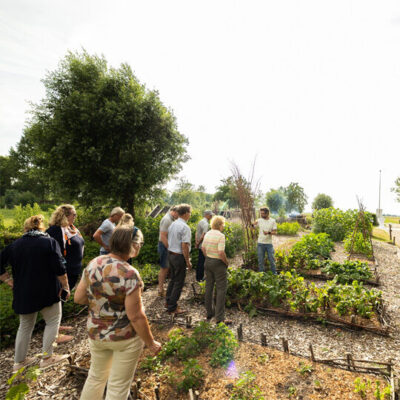 Afbeelding voor keuze nummer 10