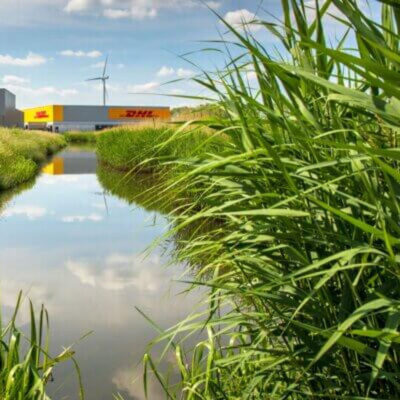 Afbeelding voor keuze nummer 13