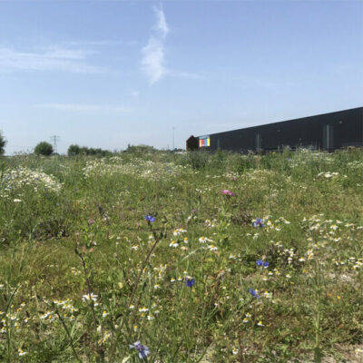 Afbeelding voor keuze nummer 3