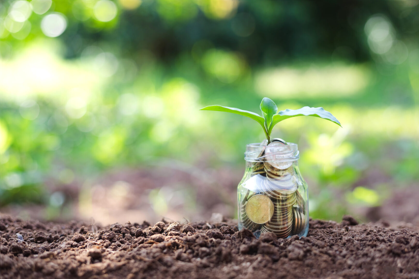 Vergroening financiele regelingen