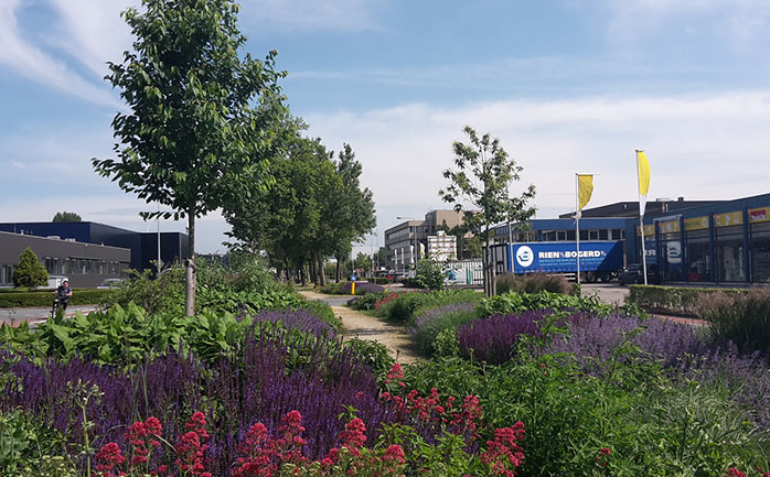 Vergroening oplossingen